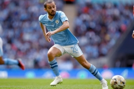 برناردو سیلوا 