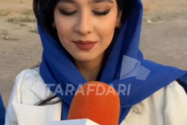 هوادار استقلال