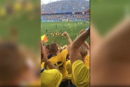 تقسیم شادی سوئدی ها با هواداران پس از پیروزی مقابل کره جنوبی