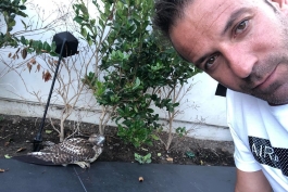 سری آ ایتالیا-یوونتوس