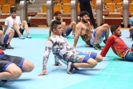 کشتی آزاد-Free Wrestling