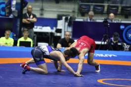 مسابقات جهانی کشتی آزاد جوانان-World Freestyle Wrestling Championships