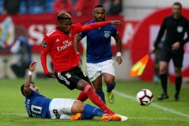 BENFICA-بنفیکا-هافبک-پرتغال-لیگ برتر