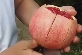انار رو اینجوری باز میکنند😊😋👌