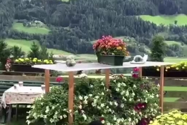   🎥💎 یک حس خوب  در طبیعت زیبای سوئیس  