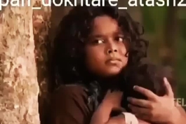 ببر و پدر😢
