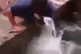 با همه شوخی با کوسه هم شوخی؟؟😐😐😐😑😑