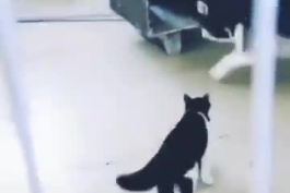 پشماااااااااااااااااااااااااااااااام😂😂😂😂😂😂😂