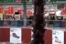 هجوم مردم شیراز برای خرید گوشت یخ زده!!!!!!+ فیلم کوتاه