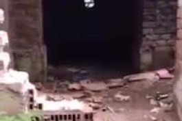 مرد خوش شانسی که اتفاقی یک گنج با ارزش رو در یک خانه متروکه پیدا کرد!؟