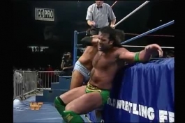 کشتی کچ: مسابقه Razor Ramon در مقابل Rick Martel برای کمربند Intercontinental. سال 1993