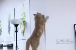 تصویر واقعی از وقتی که بایرن می خواد بازیکنی رو به خدمت بگیره