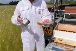 دیوید بکام و انجام حرفه زنبورداری