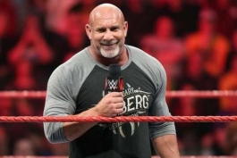 بیل گلدبرگ، ستاره کشتی کج و WWE