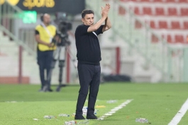 امیر قلعه نویی - تیم ملی فوتبال ایران