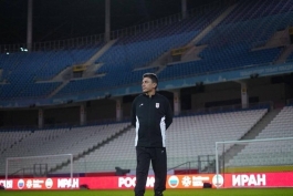 امیر قلعه نویی تیم ملی