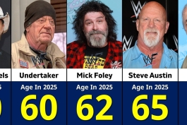 کشتی‌گیران WWE - آندرتیکر - شان مایکلز - برت هارت - استون کلد - میک فولی