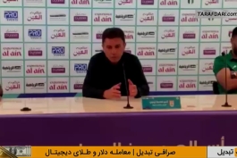 امیر قلعه نویی