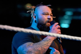 بری وایت، ستاره کشتی کج و WWE