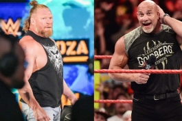 بیل گلدبرگ و براک لزنر، ستارگان کشتی کج و WWE