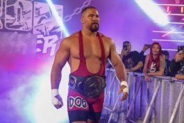 بران بریکر، ستاره کشتی کج و WWE