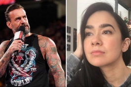 ای جی لی و سی ام پانک، ستارگان کشتی کج و WWE