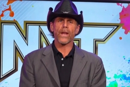 شان مایکلز، ستاره کشتی کج و WWE 