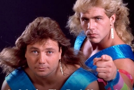 شان مایکلز و مارتی جنتی، ستارگان کشتی کج و WWE