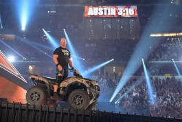 استون کلد استیو آستین، ستاره کشتی کج و WWE