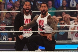 برادران اوسوز، ستارگان کشتی کج و WWE