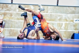 لیگ برتر کشتی آزاد-سایپا-دانشگاه آزاد اسلامی مازندران