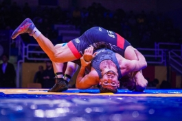 کشتی فرنگی_کشتی فرنگی قهرمانی کشور