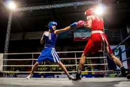 فدراسیون بوکس-ایران-iran boxing federation