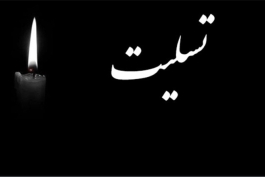 صنعت نفت آبادان-لیگ برتر ایران-sanat naft abadan-presian gulf premier league-iran
