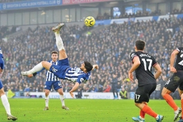 برایتون / لیگ برتر انگلیس / ایران-brighton-premier league-iran