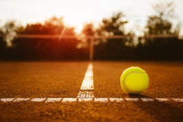 تنیس-رولاند گاروس-Tennis