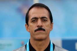 انتقاد از سید مهدی رحمتی
