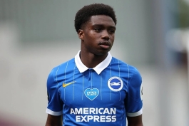 علاقه آرسنال به طارق لمپتی