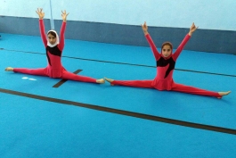 ژیمناستیک / ایران