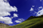 عکس/ طبیعت تابستانی ارتفاعات آلوارس اردبیل 