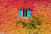 ۱۱ عکس بسیار زیبا و نفس گیر از فصل پاییز