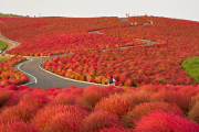 ۱۱ عکس بسیار زیبا و نفس گیر از فصل پاییز
