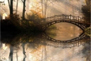Mirrored Nature - Surreal Majestic