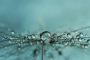  تصاویری زیبا از قطرات آب