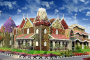 بزرگترین باغ گل جهان در قلب کویر
