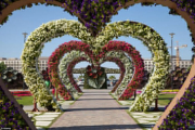 بزرگترین باغ گل جهان در قلب کویر