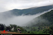 طبیعت روستای جواهرده رامسر 