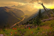 خداحافظی تابستانی، سلام پائیزی 
