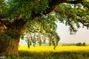 خداحافظی تابستانی، سلام پائیزی 