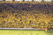 دیوار زرد